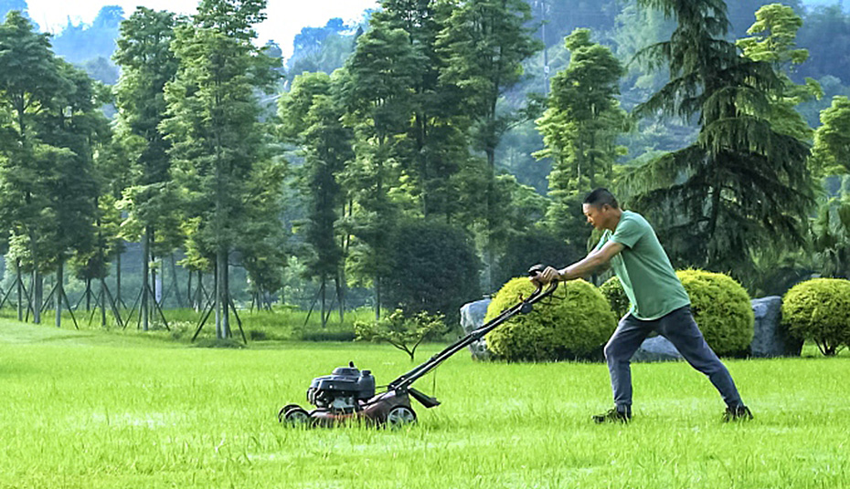 园林绿化维护 泸州园林